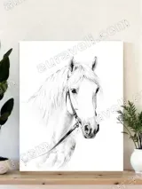 Horse Portrait Canvas Wall Art for Living Room & Bedroom Decor