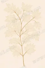 Golden Botanical Leaf Canvas Wall Art for Living Room framed modern home decor