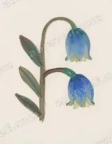 Blue Bellflower Canvas Wall Art for Living Room Bedroom Home Decor wall art print
