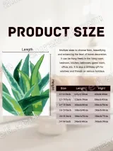 Aloe Vera Watercolor Canvas Wall Art for Living Room Decor – view 7