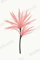 Pink Botanical Canvas Wall Art for Living Room Bedroom framed modern home decor