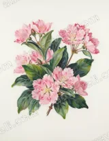 Pink Blossom Floral Canvas Wall Art for Bedroom Living framed modern home decor