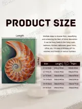 Colorful Nautilus Shell Canvas Wall Art for Living Room Home Decor – вид 7