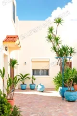 Mediterranean Courtyard Plants Canvas Wall Art for Home Decor framed modern