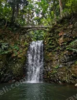 Nature Waterfall Forest Bridge Canvas Wall Art for Home Decor wall art print