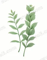 Botanical Green Leaves Canvas Wall Art for Living Room framed modern home decor