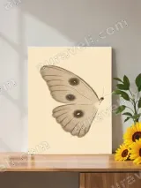 Vintage Butterfly Canvas Wall Art for Living Room Bedroom Home Decor