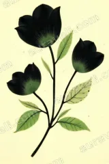 Black Green Floral Canvas Wall Art for Living Room Bedroom Home Decor wall art print