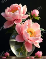 Pink Peonies in Vase Canvas Wall Art for Living framed modern home decor