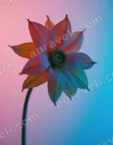 Colorful Gradient Floral Canvas Wall Art for Living Room Home Decor wall art print