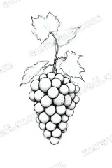 Grapes Sketch Line Art Canvas Wall Art for Living Room Home Decor wall art print