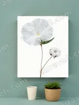 White Floral & Cotton Canvas Wall Art for Living Room & Bedroom Home Decor