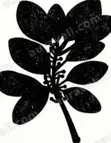 Black Botanical Leaf Silhouette Canvas Wall Art for Living framed modern home decor