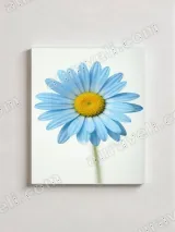 Blue Daisy Floral Canvas Wall Art for Living Room Bedroom Home Decor – вид 2
