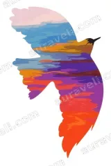 Colorful Bird Silhouette Abstract Canvas Wall Art for Home framed modern decor