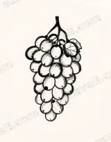 Grapes Ink Drawing Canvas Wall Art for Living Room Home Decor wall art print