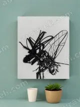 Detailed Black Ink Fly Insect Canvas Wall Art for Home Decor
