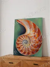 Colorful Nautilus Shell Canvas Wall Art for Living Room Home Decor – вид 4