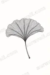Ginkgo Leaf Line Art Canvas Wall for Living framed modern home decor
