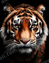 Tiger Portrait Canvas Wall Art for Living Room Bedroom Home Decor wall art print
