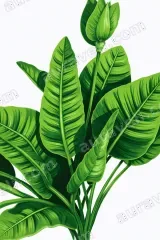 Tropical Green Plant Leaf Canvas Wall Art for Living framed modern home decor