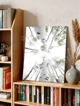Birch Trees Upward View Canvas Wall Art for Home Decor – view 4