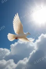Flying White Dove Sky Clouds Canvas Wall Art for Living Room Home Decor wall art print