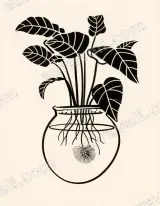 Black White Botanical Plant in Vase Canvas Wall Art and framed for modern home decor