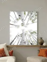 Birch Trees Upward View Canvas Wall Art for Home Decor – view 3