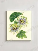 Passion Flower Botanical Canvas Wall Art for Living Room Home Decor – view 3