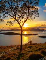 Sunset Tree Over Lake Canvas Wall Art for Home Decor wall art print