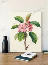 Botanical Floral Canvas Wall Art for Living Room Home Decor – view 2
