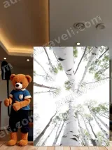 Birch Trees Upward View Canvas Wall Art for Home Decor