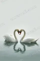 Swan Heart Shape Canvas Wall Art for Living Room framed modern home decor