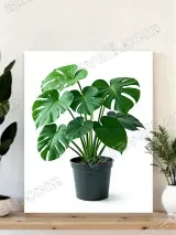 Potted Monstera Plant Canvas Wall Art for Living Room Home Decor – view 4