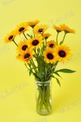 Sunflower Bouquet Canvas Wall Art for Bedroom & Living Room Home Decor wall art print
