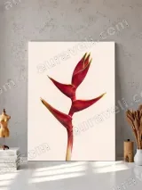 Red Heliconia Flower Canvas Wall Art for Living Room Decor