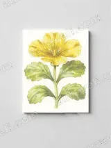 Yellow Floral Botanical Canvas Wall Art for Living Room & Bedroom Decor – вид 2