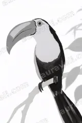 Black White Toucan Canvas Wall Art for Living Room and framed modern home decor