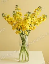 Yellow Flowers in Vase Canvas Wall Art for Living Room Bedroom Home Decor wall art print