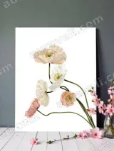Pastel Poppies Floral Canvas Wall Art for Bedroom & Living Room Decor – view 3