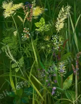 Botanical Wildflower Grass Canvas Wall Art for Living Room Bedroom Home Decor living room wall art for modern home decor