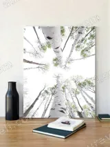 Birch Trees Upward View Canvas Wall Art for Home Decor – view 2