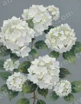 White Hydrangea Floral Canvas Wall Art for Living Room Bedroom Home Decor wall art print