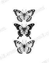 Black & White Butterfly Canvas Wall Art for Living Room Bedroom Home Decor wall art print