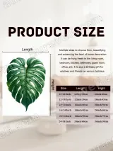 Monstera Leaf Canvas Wall Art for Living Room Bedroom Home Decor – вид 6