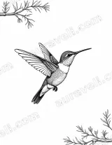 Hummingbird Line Art Canvas Wall Art for Living Room Home Decor wall art print