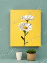 White Daisy Floral Canvas Wall Art for Living Room Bedroom Home Decor – view 2