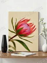 Protea Flower Canvas Wall Art for Bedroom & Living Room Home Decor