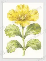 Yellow Floral Botanical Canvas Wall Art for Living Room & Bedroom Decor – вид 3